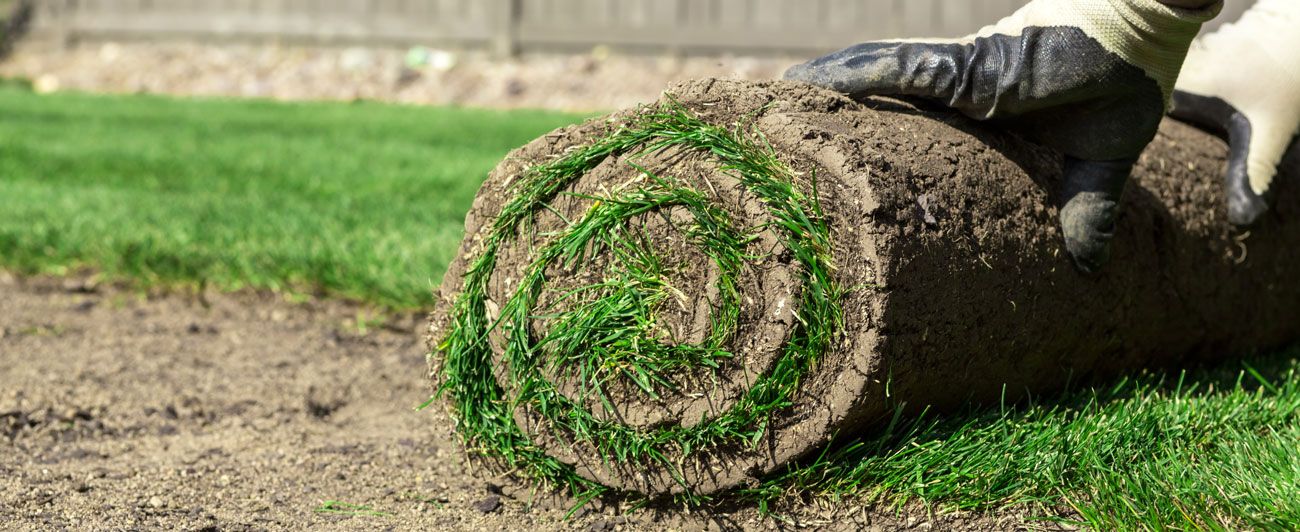 Rollrasen wird vom Handwerker verlegt